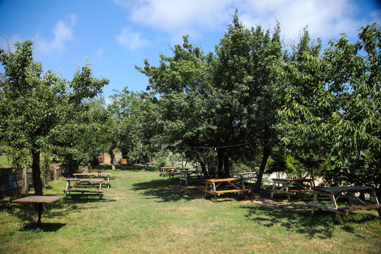 Mavi At Hotel Blue Horse Gumusdere Exterior photo