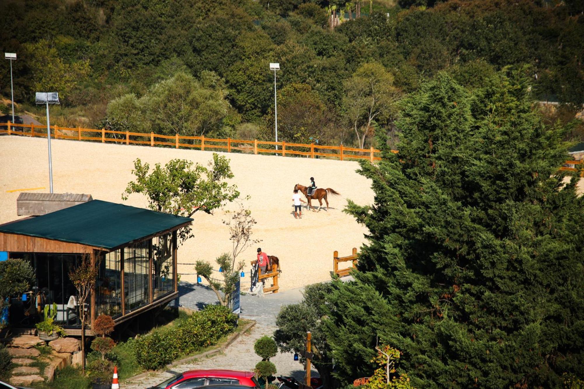 Mavi At Hotel Blue Horse Gumusdere Exterior photo