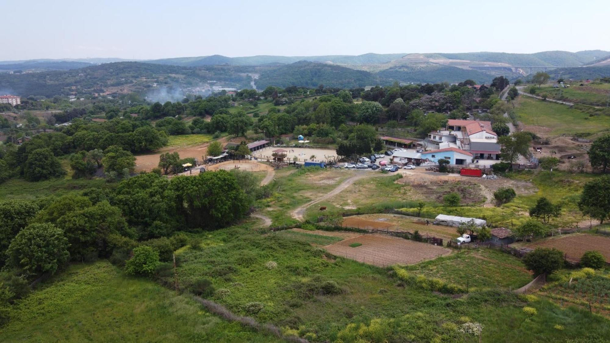 Mavi At Hotel Blue Horse Gumusdere Exterior photo
