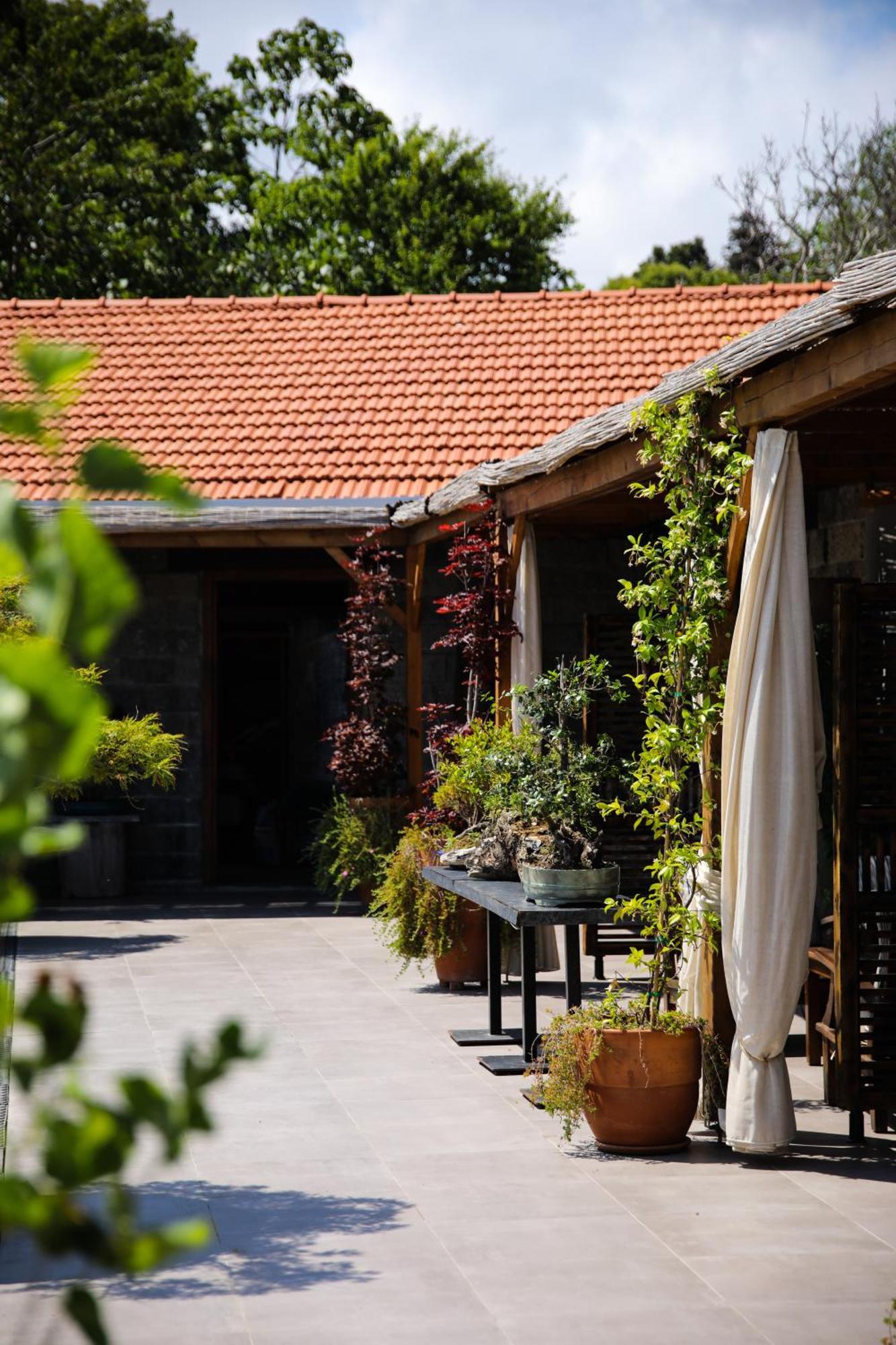 Mavi At Hotel Blue Horse Gumusdere Exterior photo