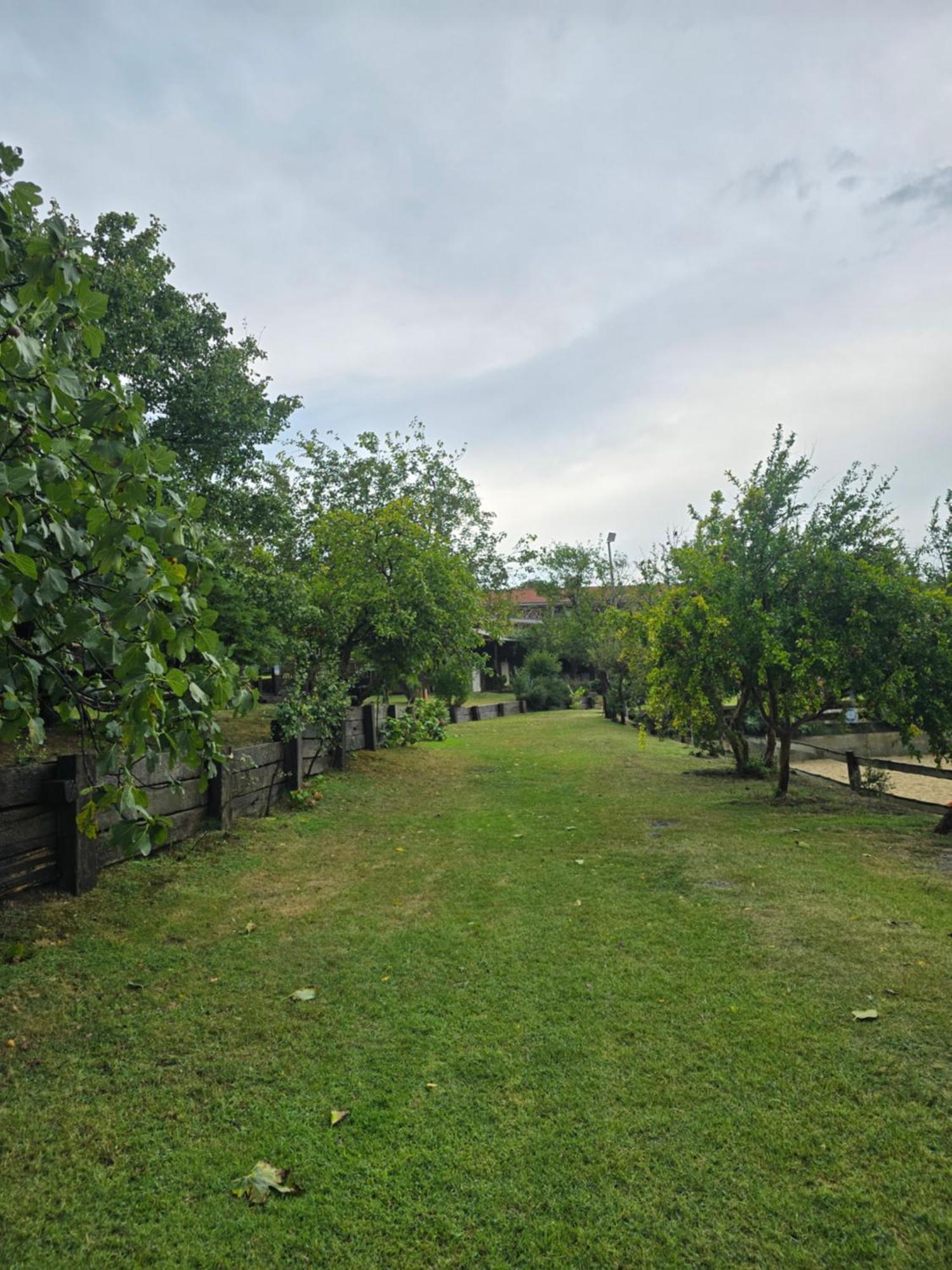 Mavi At Hotel Blue Horse Gumusdere Exterior photo